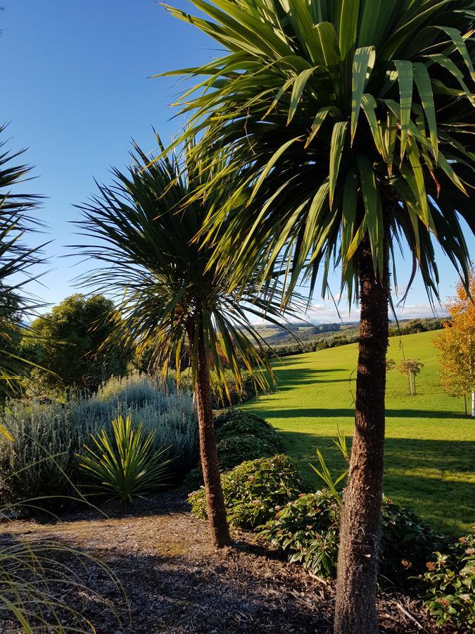 Murchison View Studio Te Anau Exterior foto